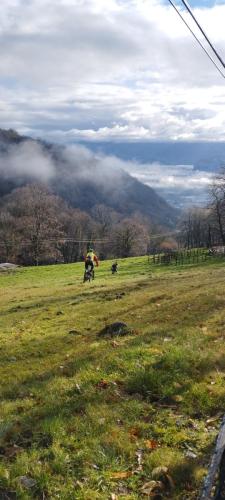 IMG 20230312 085615 (1)