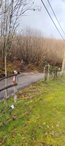 IMG 20230312 090158 (1)