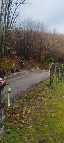 IMG 20230312 090440 (1)